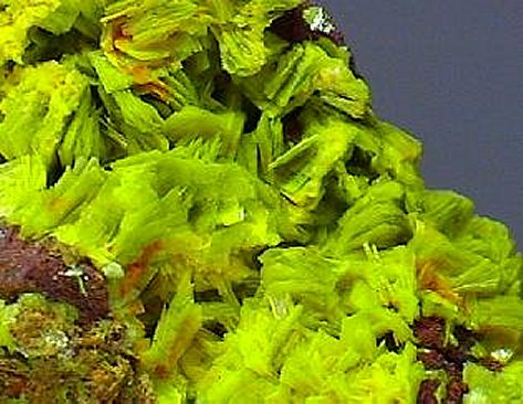 Large Autunite Image