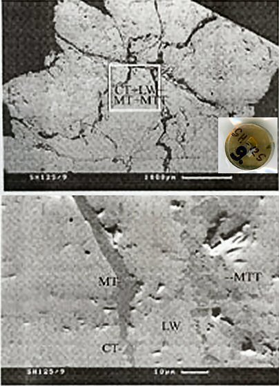 Large Calciotantite Image