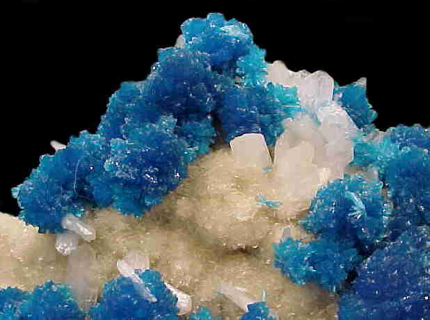 Large Cavansite Image