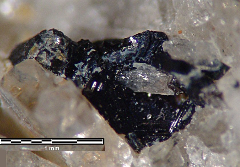 Large Ciprianiite Image