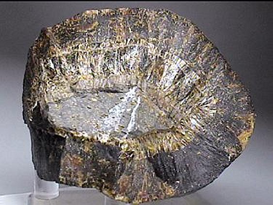 Large Collinsite Image