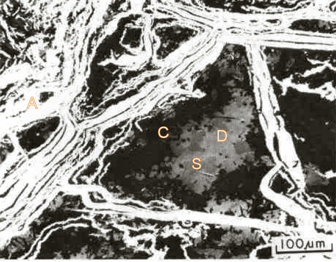 Large Danielsite Image