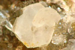 Click Here for Larger Gorceixite Image