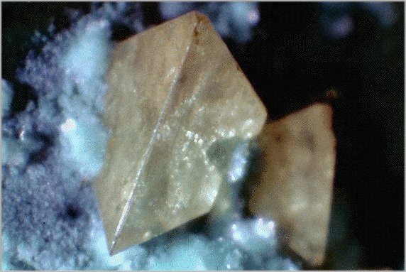 Large Marshite Image