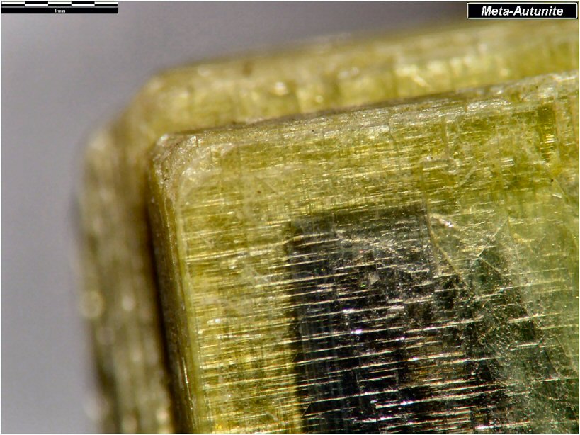 Large Autunite Image