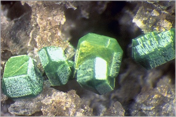 Large Metatorbernite Image