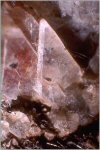 Click Here for Larger Mooreite Image