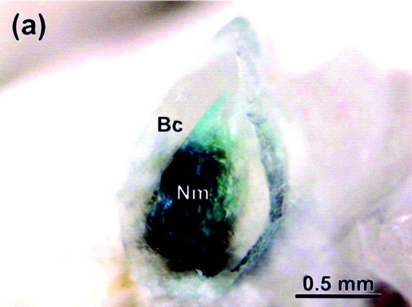 Large Borcarite Image