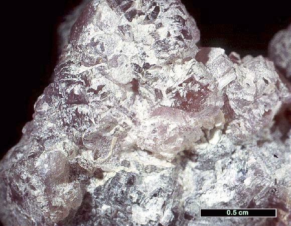 Large Boromuscovite Image