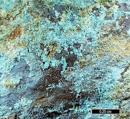 Large Chenite Image