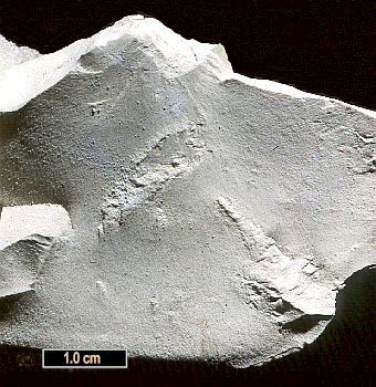 Large Dickite Image