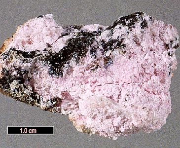 Large Montmorillonite Image