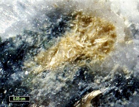 Large Ohmilite Image