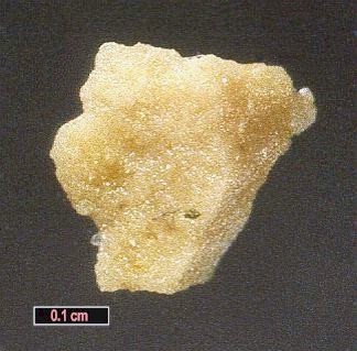 Large Nitromagnesite Image