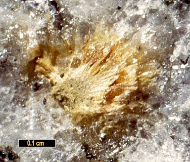 Large Bafertisite Image