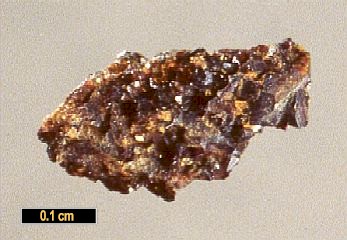 Large Garyansellite Image