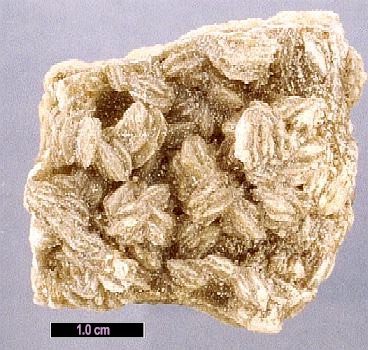 Large Teepleite Image