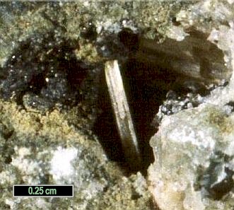 Large Augite Image