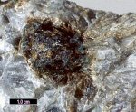 Click Here for Larger Varulite Image