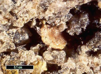 Large Wupatkiite Image