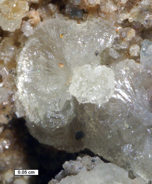 Large Dickthomssenite Image