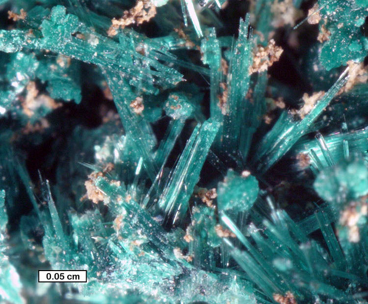 Large Brochantite Image