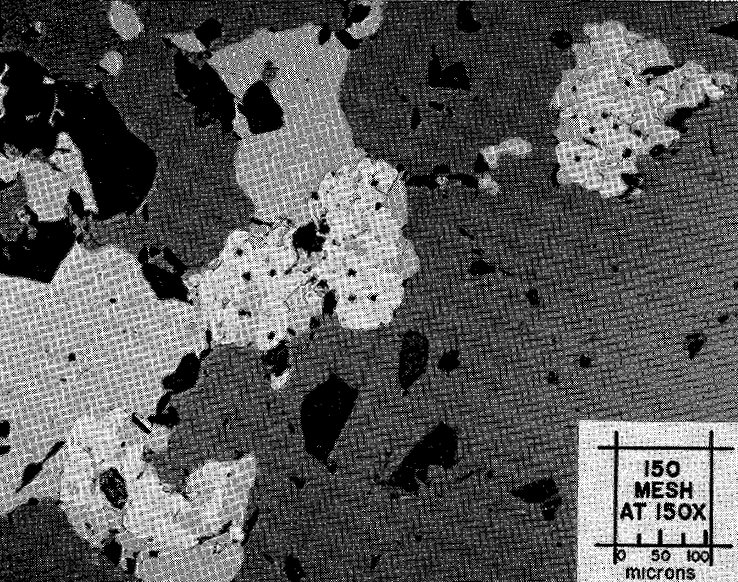 Large Paracostibite Image