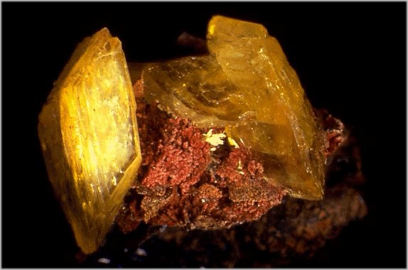 Large Paradamite Image