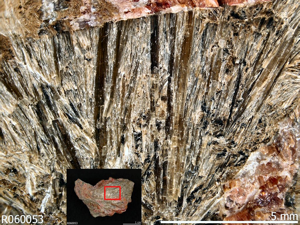 Large Protoferro-anthophyllite Image