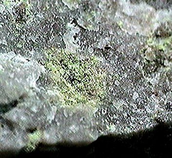 Large Schlossmacherite Image