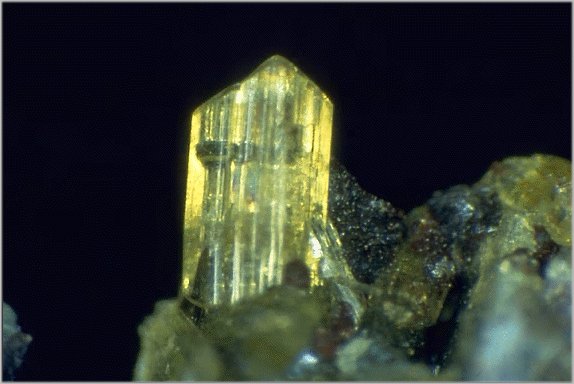 Large Segelerite Image