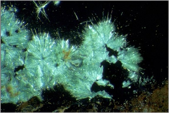 Large Strashimirite Image