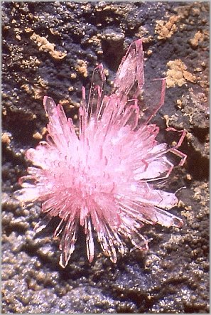 Large Strengite Image