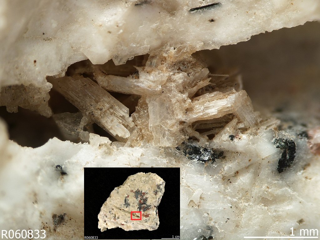 Large Tsepinite-Ca Image