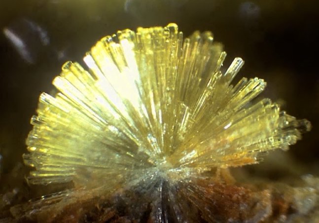 Large Wavellite Image