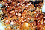 Click Here for Larger Wulfenite Image